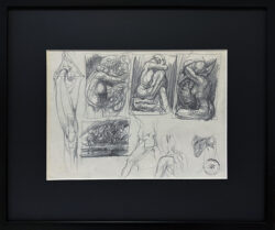 Franciszek STAROWIEYSKI (1930-2009), Szkice anatomiczne